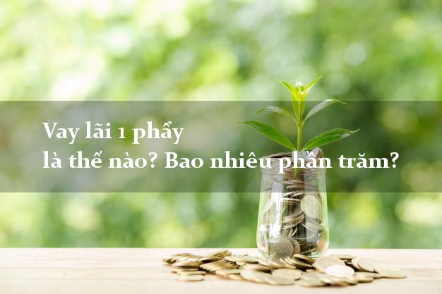 Vay lãi 1 phẩy là thế nào? Bao nhiêu phần trăm?