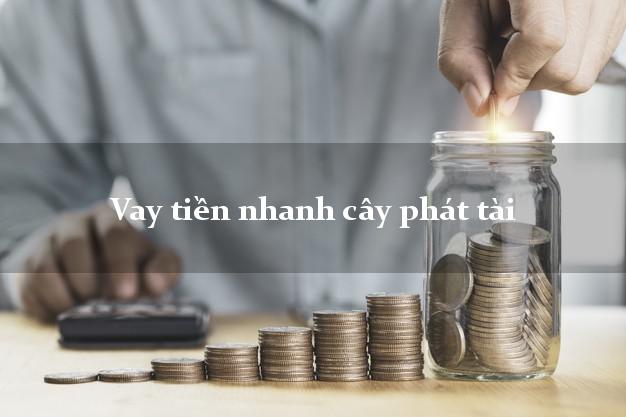 Vay tiền nhanh cây phát tài