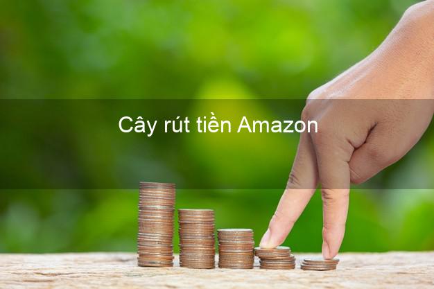 Cây rút tiền Amazon Online Cây rút tiền Amazon Online