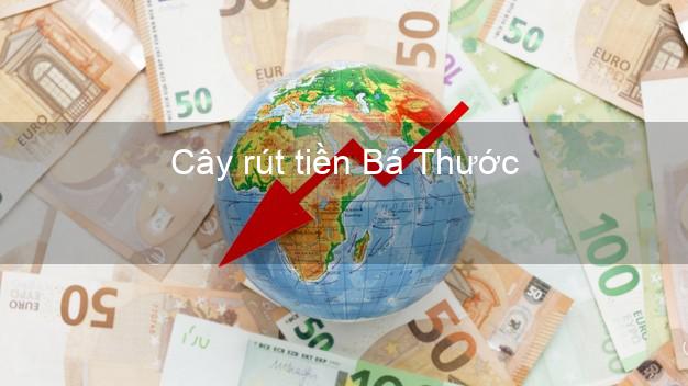 Cây rút tiền Bá Thước Thanh Hóa Cây rút tiền Bá Thước Thanh Hóa