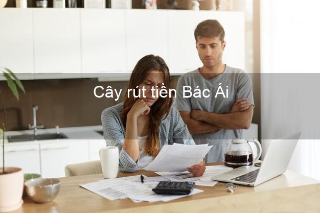 Cây rút tiền Bác Ái Ninh Thuận Cây rút tiền Bác Ái Ninh Thuận