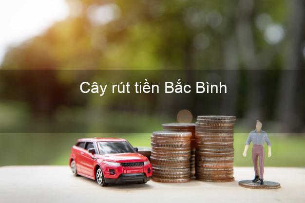 Cây rút tiền Bắc Bình Bình Thuận Cây rút tiền Bắc Bình Bình Thuận