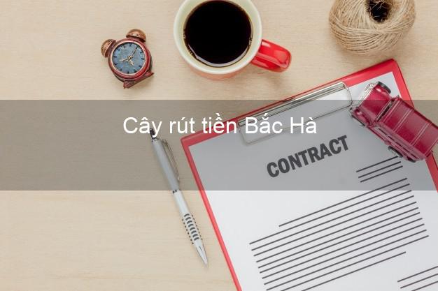 Cây rút tiền Bắc Hà Lào Cai Cây rút tiền Bắc Hà Lào Cai