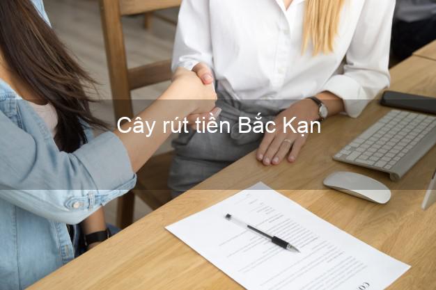 Cây rút tiền Bắc Kạn Cây rút tiền Bắc Kạn