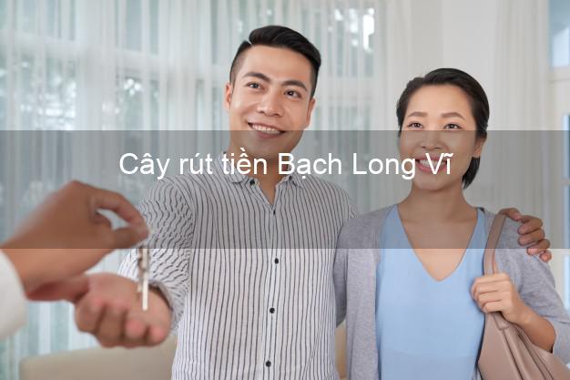 Cây rút tiền Bạch Long Vĩ Hải Phòng