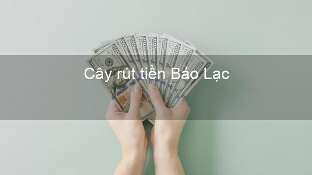 Cây rút tiền Bảo Lạc Cao Bằng Cây rút tiền Bảo Lạc Cao Bằng