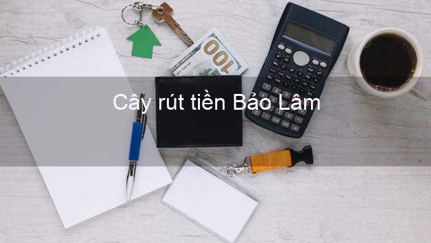 Cây rút tiền Bảo Lâm Cao Bằng Cây rút tiền Bảo Lâm Cao Bằng