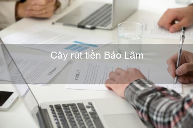 Cây rút tiền Bảo Lâm Lâm Đồng Cây rút tiền Bảo Lâm Lâm Đồng