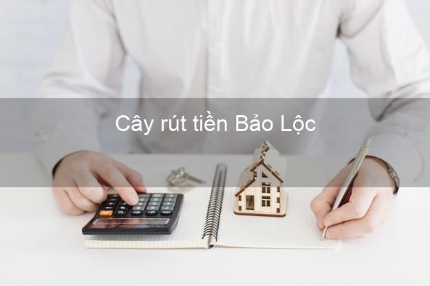 Cây rút tiền Bảo Lộc Lâm Đồng Cây rút tiền Bảo Lộc Lâm Đồng