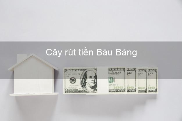 Cây rút tiền Bàu Bàng Bình Dương Cây rút tiền Bàu Bàng Bình Dương