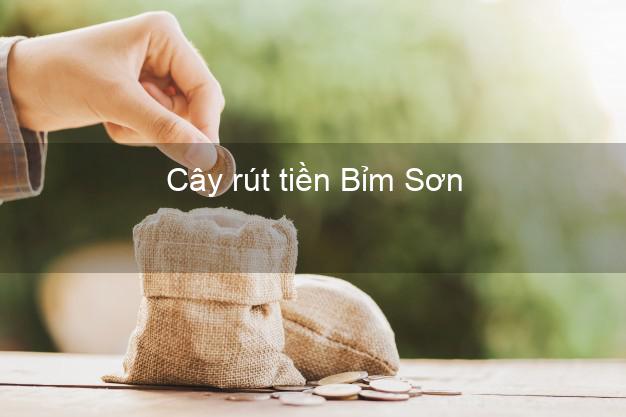 Cây rút tiền Bỉm Sơn Thanh Hóa Cây rút tiền Bỉm Sơn Thanh Hóa