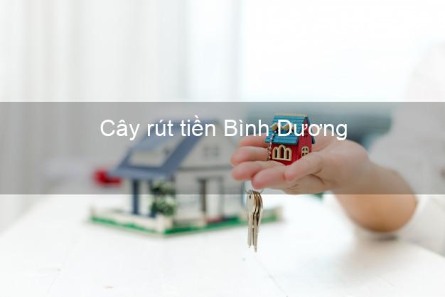 Cây rút tiền Bình Dương Cây rút tiền Bình Dương