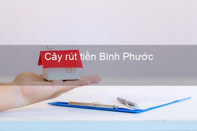 Cây rút tiền Bình Phước Cây rút tiền Bình Phước