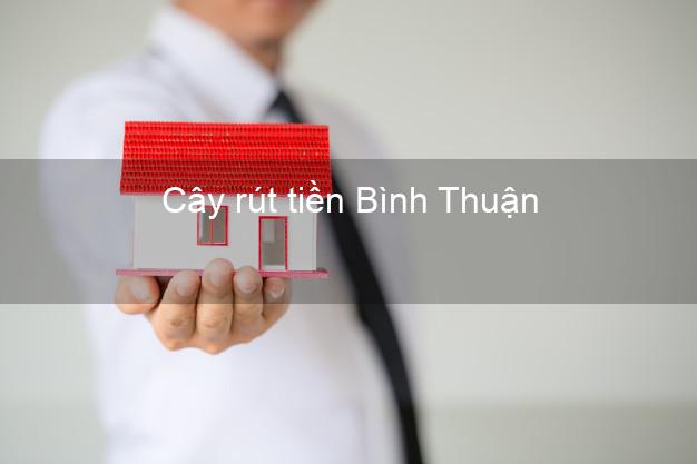 Cây rút tiền Bình Thuận Cây rút tiền Bình Thuận