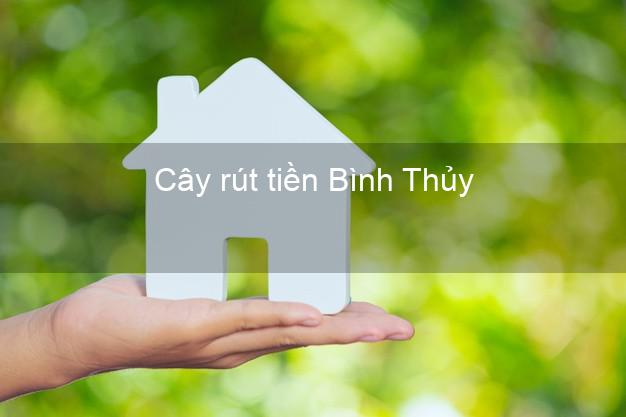 Cây rút tiền Bình Thủy Cần Thơ Cây rút tiền Bình Thủy Cần Thơ