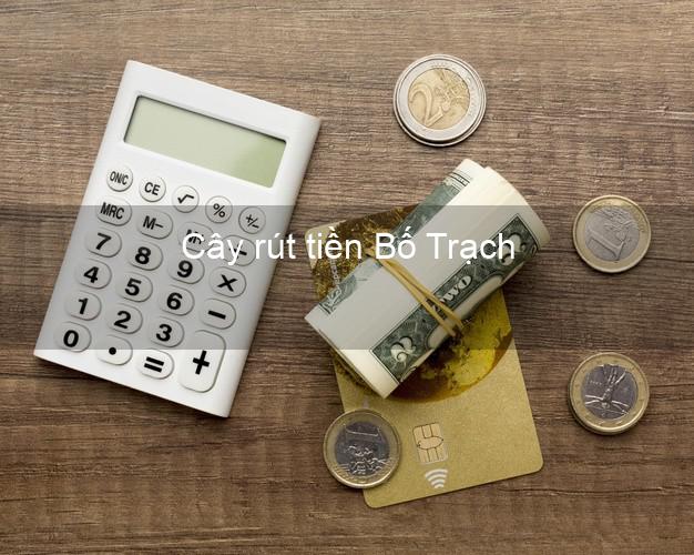 Cây rút tiền Bố Trạch Quảng Bình Cây rút tiền Bố Trạch Quảng Bình