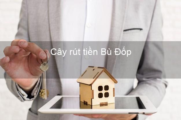Cây rút tiền Bù Đốp Bình Phước