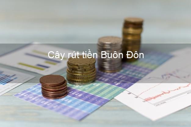 Cây rút tiền Buôn Đôn Đắk Lắk Cây rút tiền Buôn Đôn Đắk Lắk