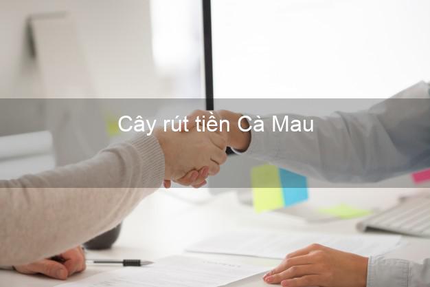 Cây rút tiền Cà Mau Cây rút tiền Cà Mau