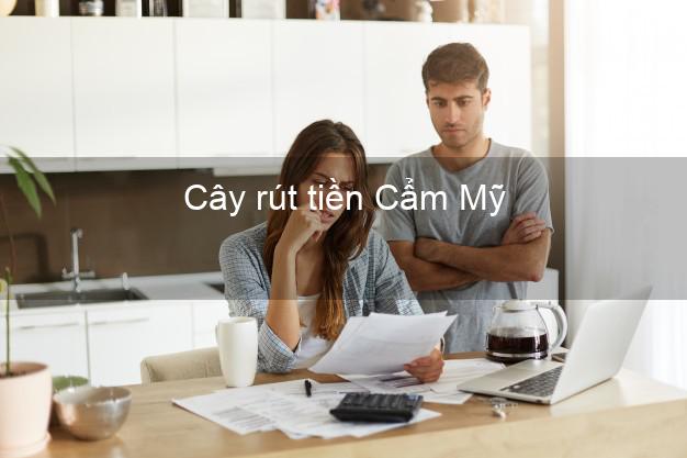 Cây rút tiền Cẩm Mỹ Đồng Nai Cây rút tiền Cẩm Mỹ Đồng Nai