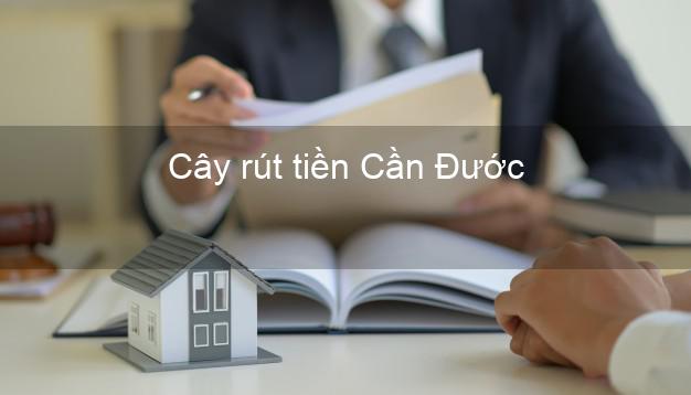 Cây rút tiền Cần Đước Long An Cây rút tiền Cần Đước Long An