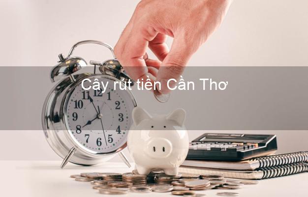 Cây rút tiền Cần Thơ Cây rút tiền Cần Thơ