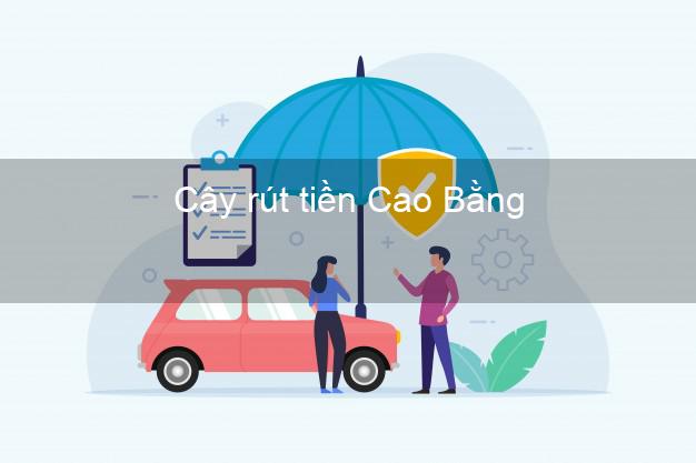 Cây rút tiền Cao Bằng Cây rút tiền Cao Bằng