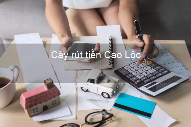 Cây rút tiền Cao Lộc Lạng Sơn Cây rút tiền Cao Lộc Lạng Sơn