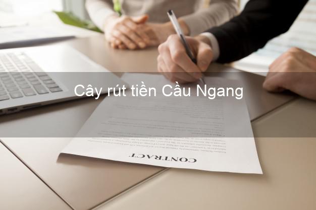 Cây rút tiền Cầu Ngang Trà Vinh