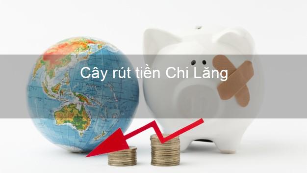Cây rút tiền Chi Lăng Lạng Sơn Cây rút tiền Chi Lăng Lạng Sơn