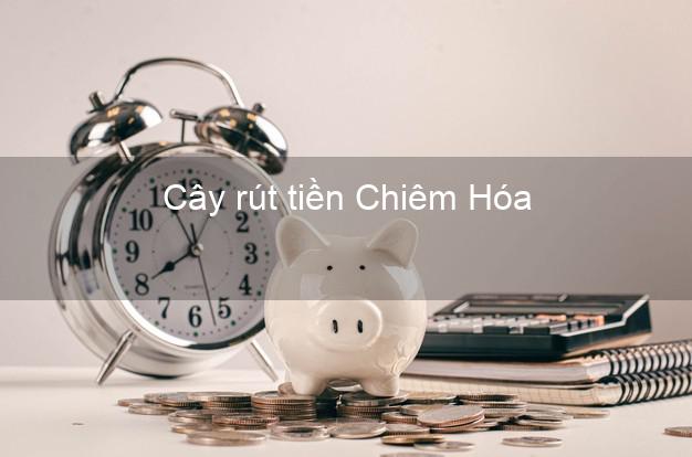 Cây rút tiền Chiêm Hóa Tuyên Quang Cây rút tiền Chiêm Hóa Tuyên Quang