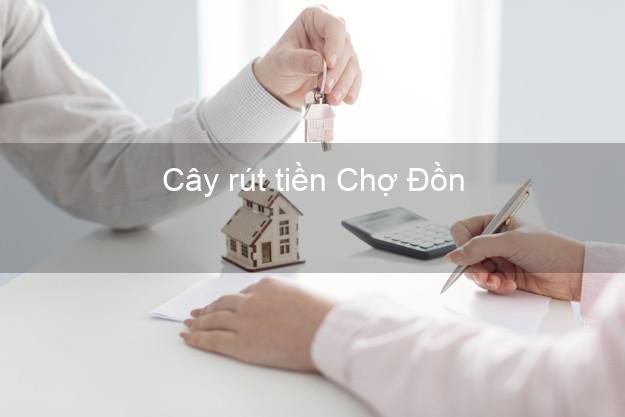 Cây rút tiền Chợ Đồn Bắc Kạn Cây rút tiền Chợ Đồn Bắc Kạn