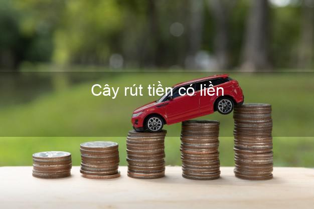 Cây rút tiền có liền Nhanh nhất Cây rút tiền có liền Nhanh nhất
