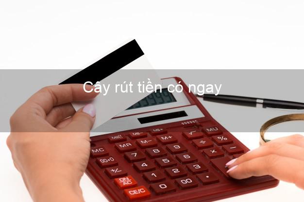 Cây rút tiền có ngay Nhanh nhất