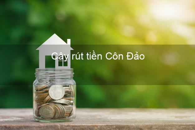 Cây rút tiền Côn Đảo Bà Rịa Vũng Tàu Cây rút tiền Côn Đảo Bà Rịa Vũng Tàu