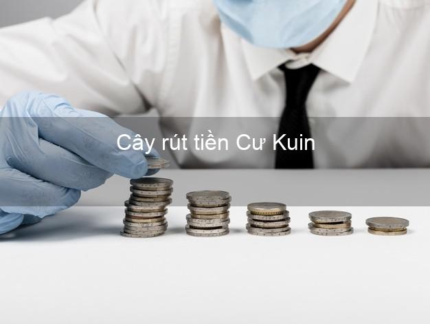 Cây rút tiền Cư Kuin Đắk Lắk Cây rút tiền Cư Kuin Đắk Lắk