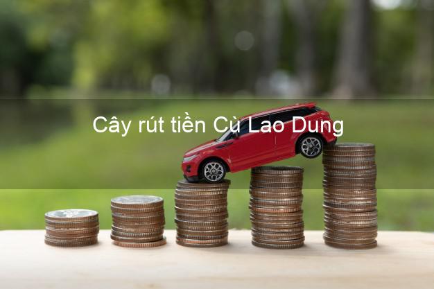 Cây rút tiền Cù Lao Dung Sóc Trăng