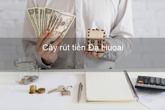 Cây rút tiền Đạ Huoai Lâm Đồng Cây rút tiền Đạ Huoai Lâm Đồng