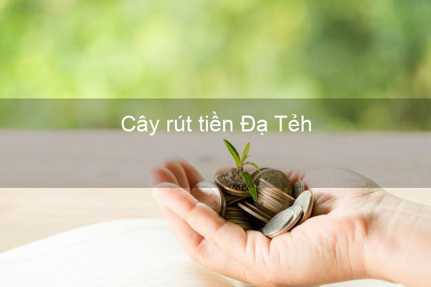 Cây rút tiền Đạ Tẻh Lâm Đồng Cây rút tiền Đạ Tẻh Lâm Đồng