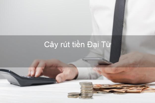 Cây rút tiền Đại Từ Thái Nguyên Cây rút tiền Đại Từ Thái Nguyên