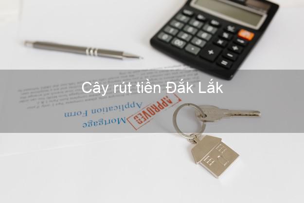 Cây rút tiền Đắk Lắk Cây rút tiền Đắk Lắk