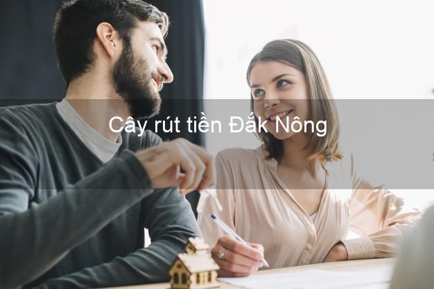Cây rút tiền Đắk Nông Cây rút tiền Đắk Nông