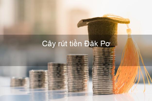 Cây rút tiền Đăk Pơ Gia Lai Cây rút tiền Đăk Pơ Gia Lai