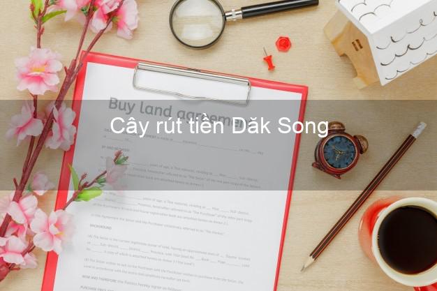 Cây rút tiền Dăk Song Đắk Nông Cây rút tiền Dăk Song Đắk Nông