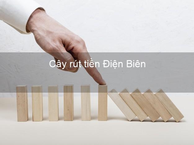 Cây rút tiền Điện Biên Cây rút tiền Điện Biên
