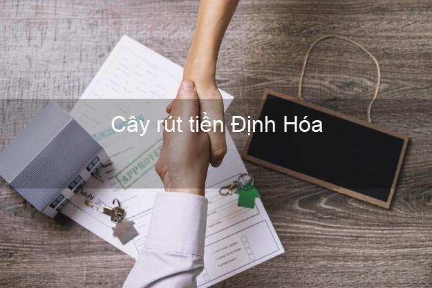 Cây rút tiền Định Hóa Thái Nguyên Cây rút tiền Định Hóa Thái Nguyên