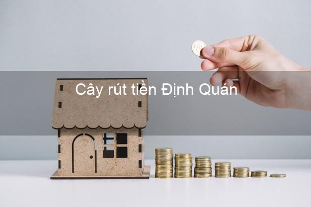 Cây rút tiền Định Quán Đồng Nai Cây rút tiền Định Quán Đồng Nai