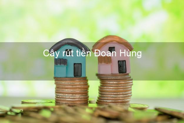 Cây rút tiền Đoan Hùng Phú Thọ Cây rút tiền Đoan Hùng Phú Thọ