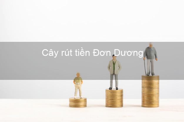 Cây rút tiền Đơn Dương Lâm Đồng Cây rút tiền Đơn Dương Lâm Đồng