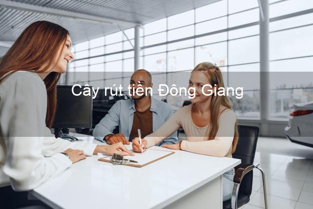 Cây rút tiền Đông Giang Quảng Nam Cây rút tiền Đông Giang Quảng Nam